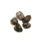 Leopardskin Jasper