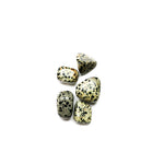 Dalmatian Jasper