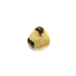 Septarian