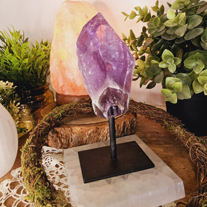 Amethyst Freeform on Stand
