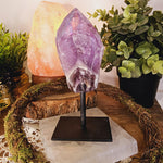 Amethyst Freeform on Stand