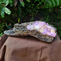 Illumina - Amethyst