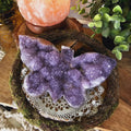 Amethyst Butterfly