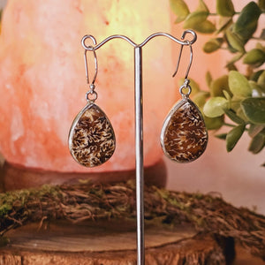 Dendritic Agate Sterling Silver Earrings