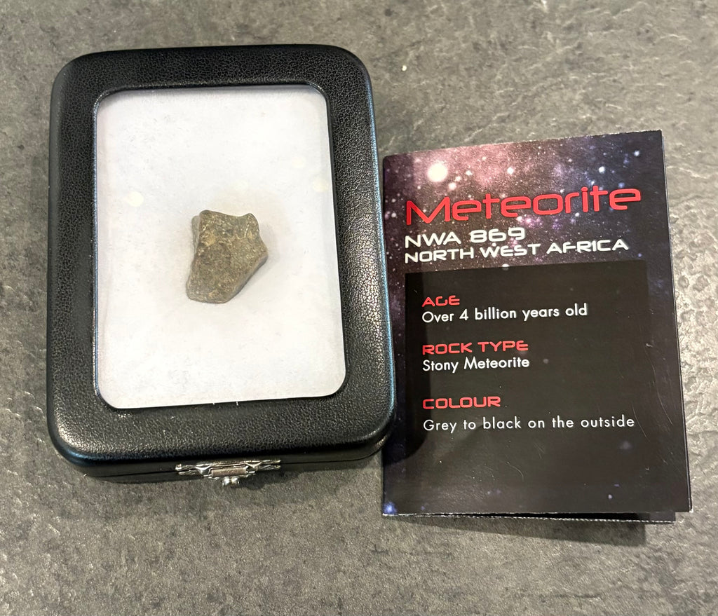 Meteorite
