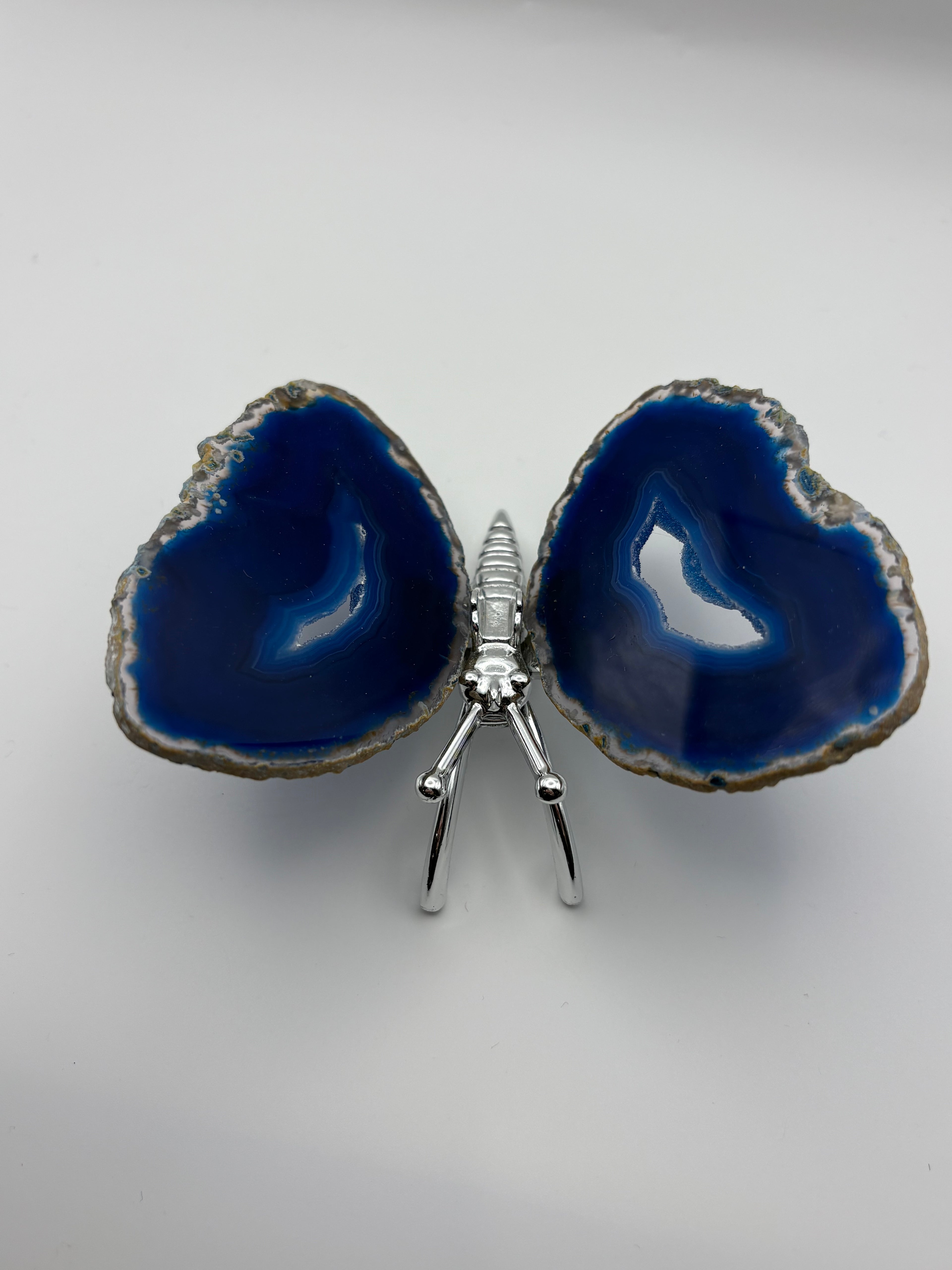 Agate Wing Butterfly