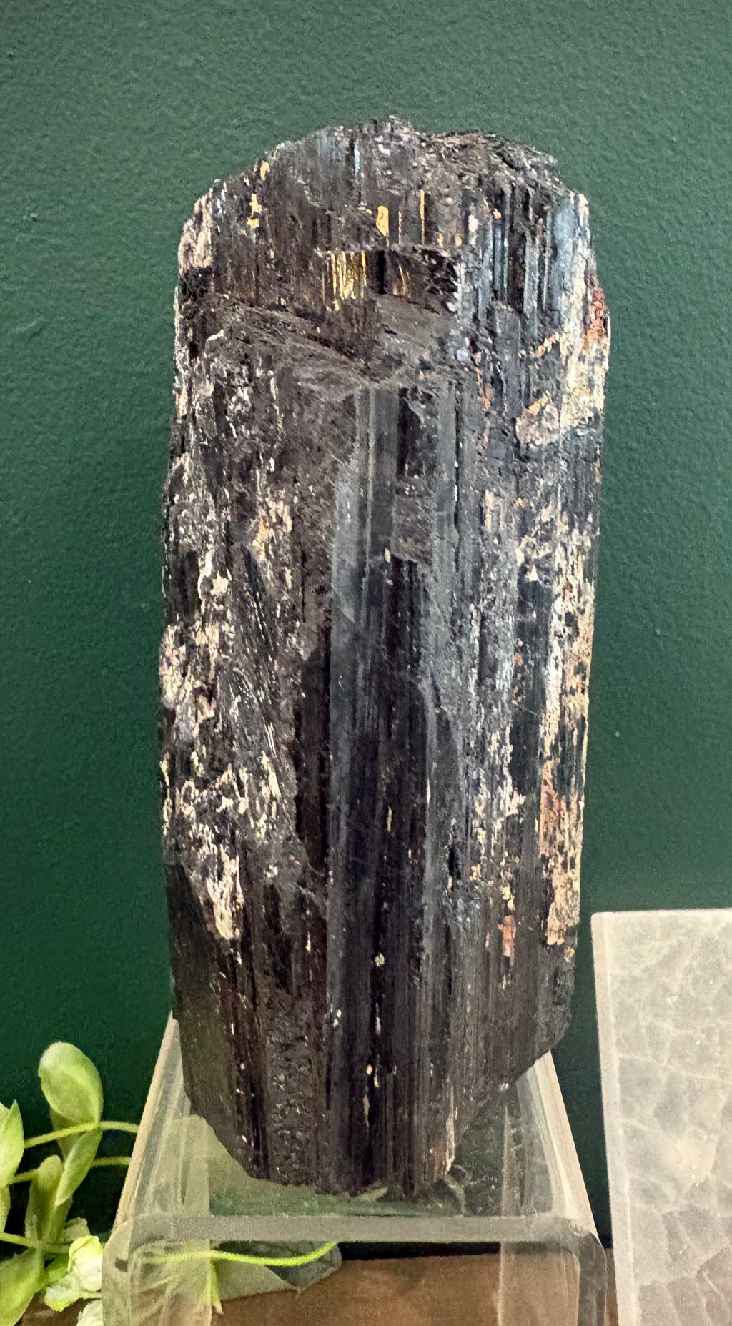 Black Tourmaline with Sawn Base (A)