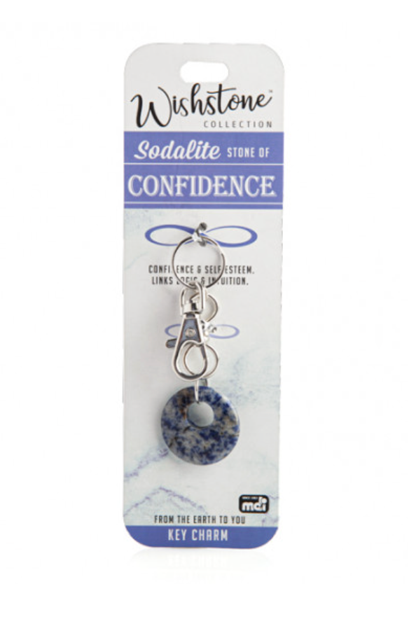Wishstone Sodalite Key Charm