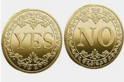 Yes or No Coin