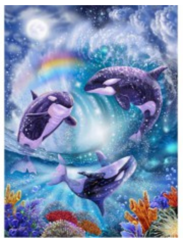 Greeting Card - Orca Dance