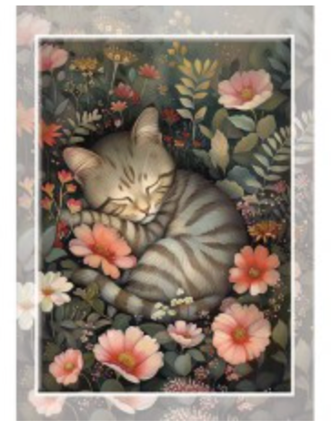 Greeting Card - Sleepy Kitten