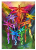 Greeting Card - Dragonfly Dreams