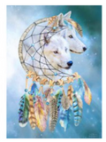Greeting Card - Wolf Dreams