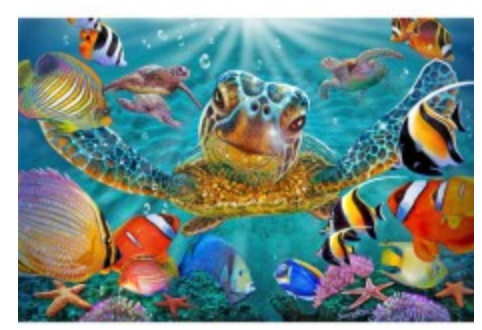 Greeting Card - Tiny Bubbles