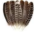 Smudging Turkey Feather