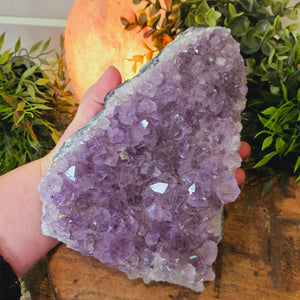 Large Amethyst Cluster