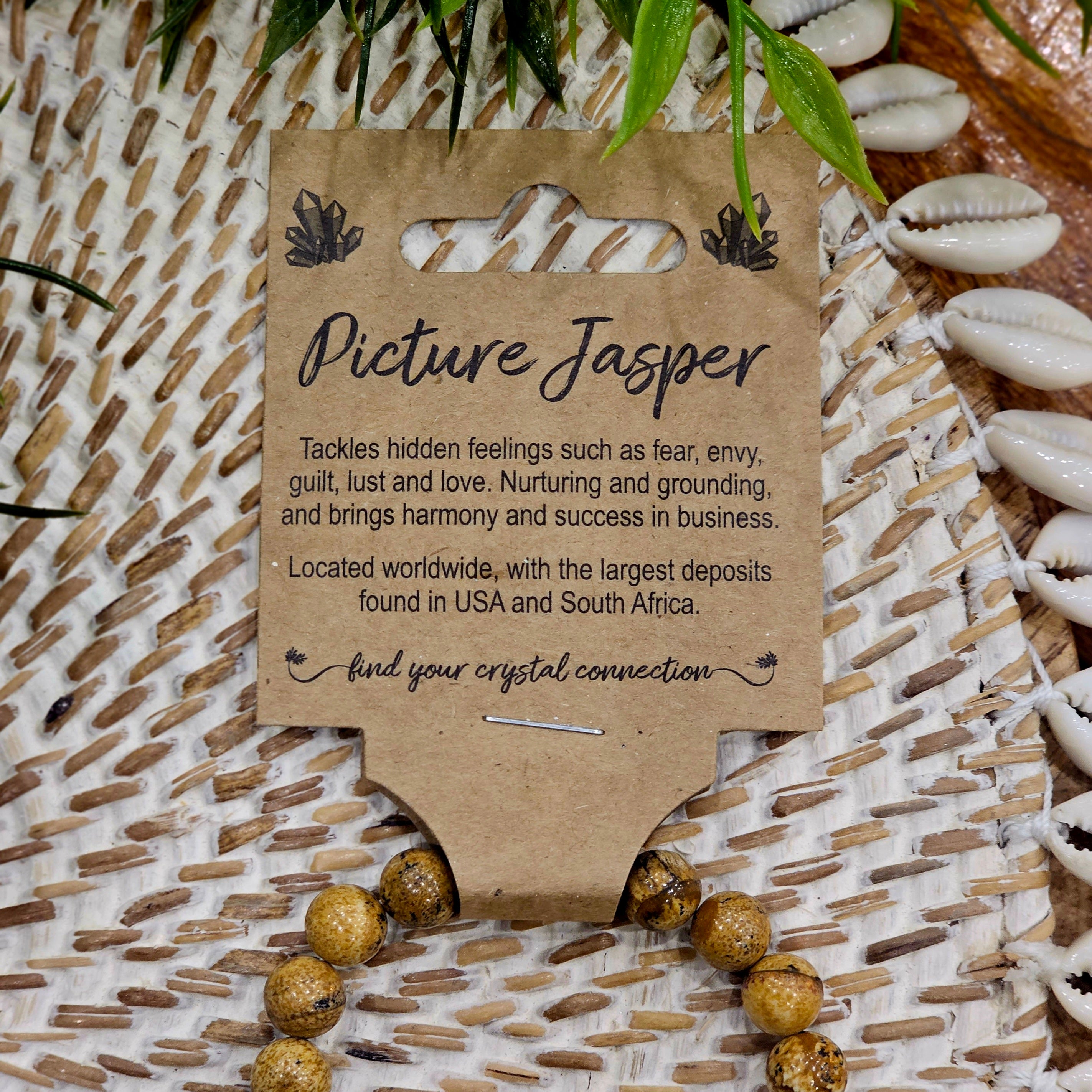 Picture Jasper Bracelet