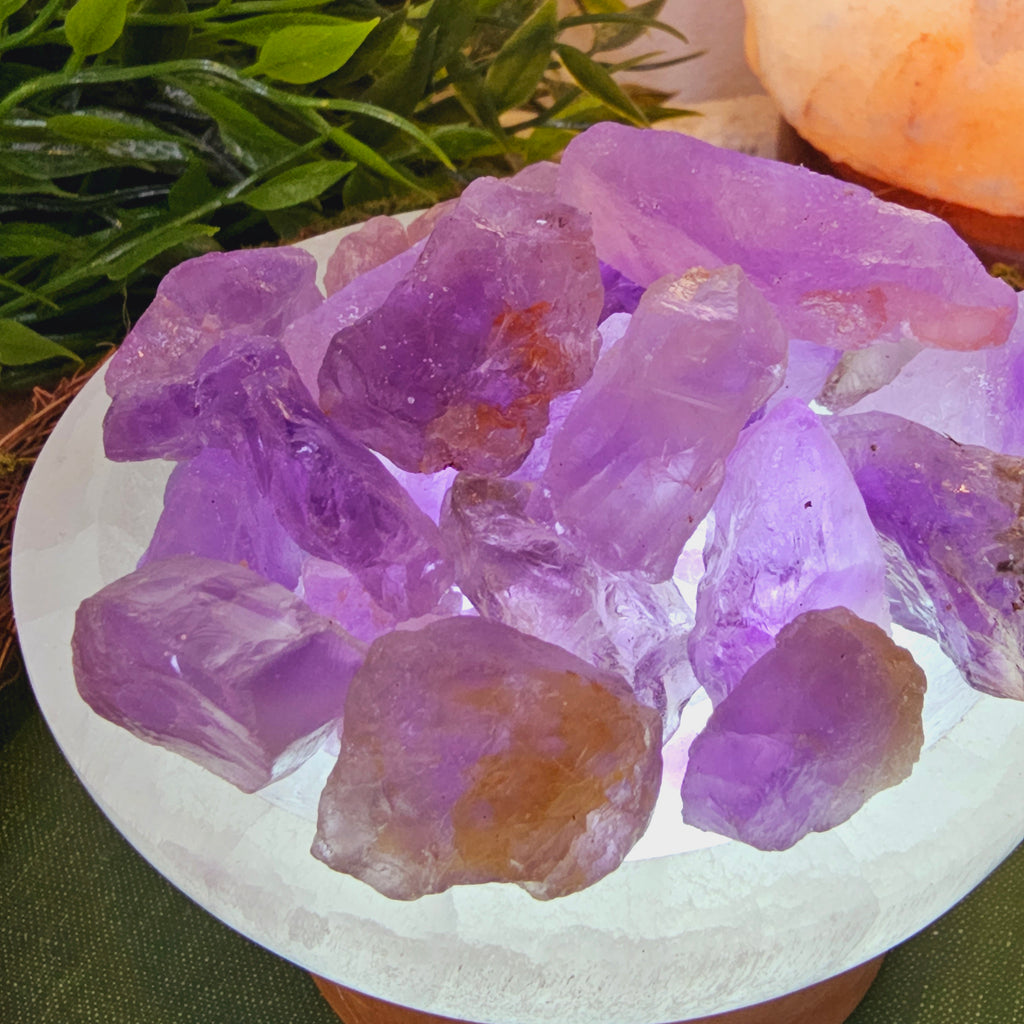 Selenite Bowl with Raw Amethyst Light