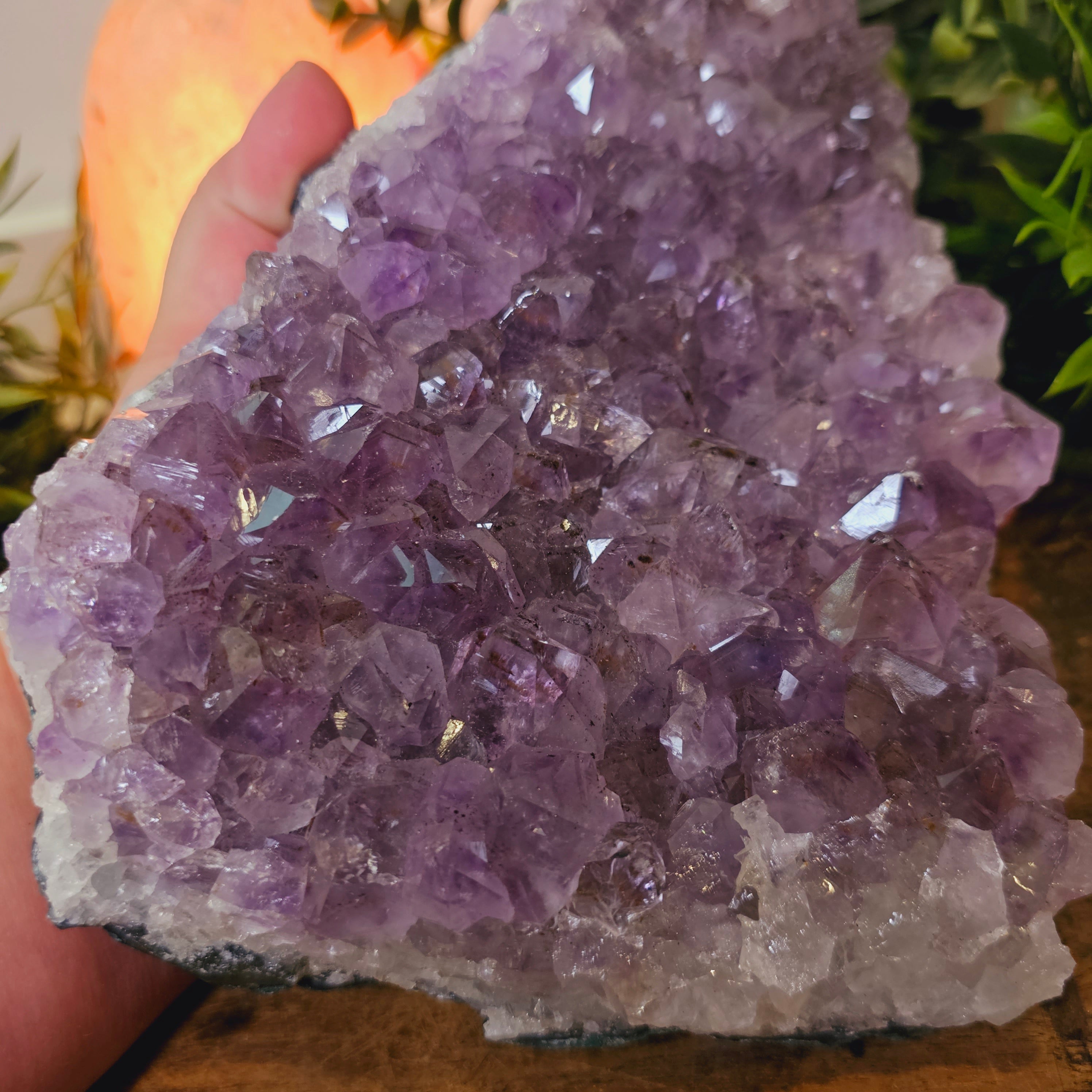 Large Amethyst Cluster