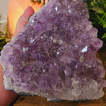 Large Amethyst Cluster