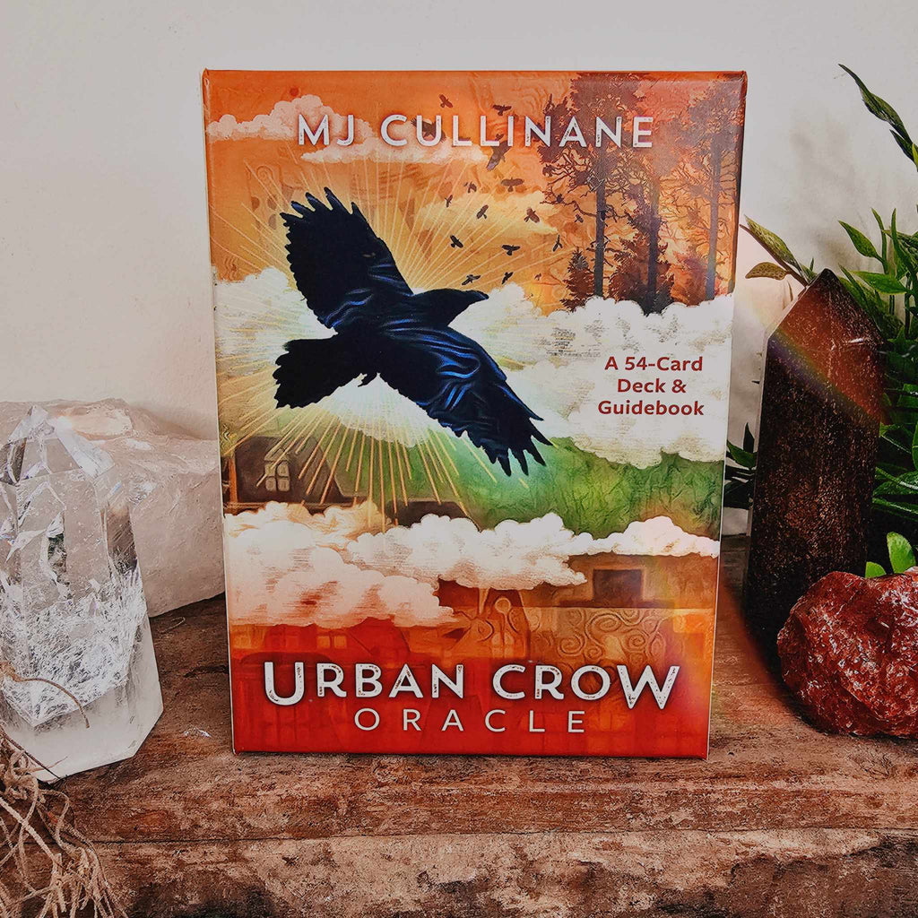 Urban Crow Oracle – The Crystal Shop Camden