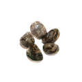 Leopardskin Jasper