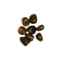Bronzite