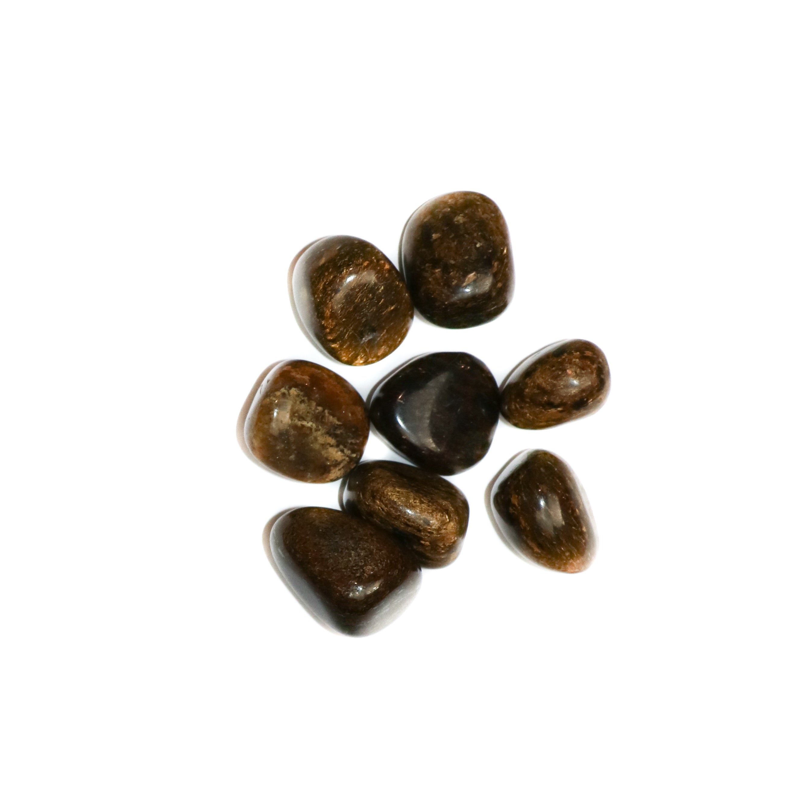 Bronzite