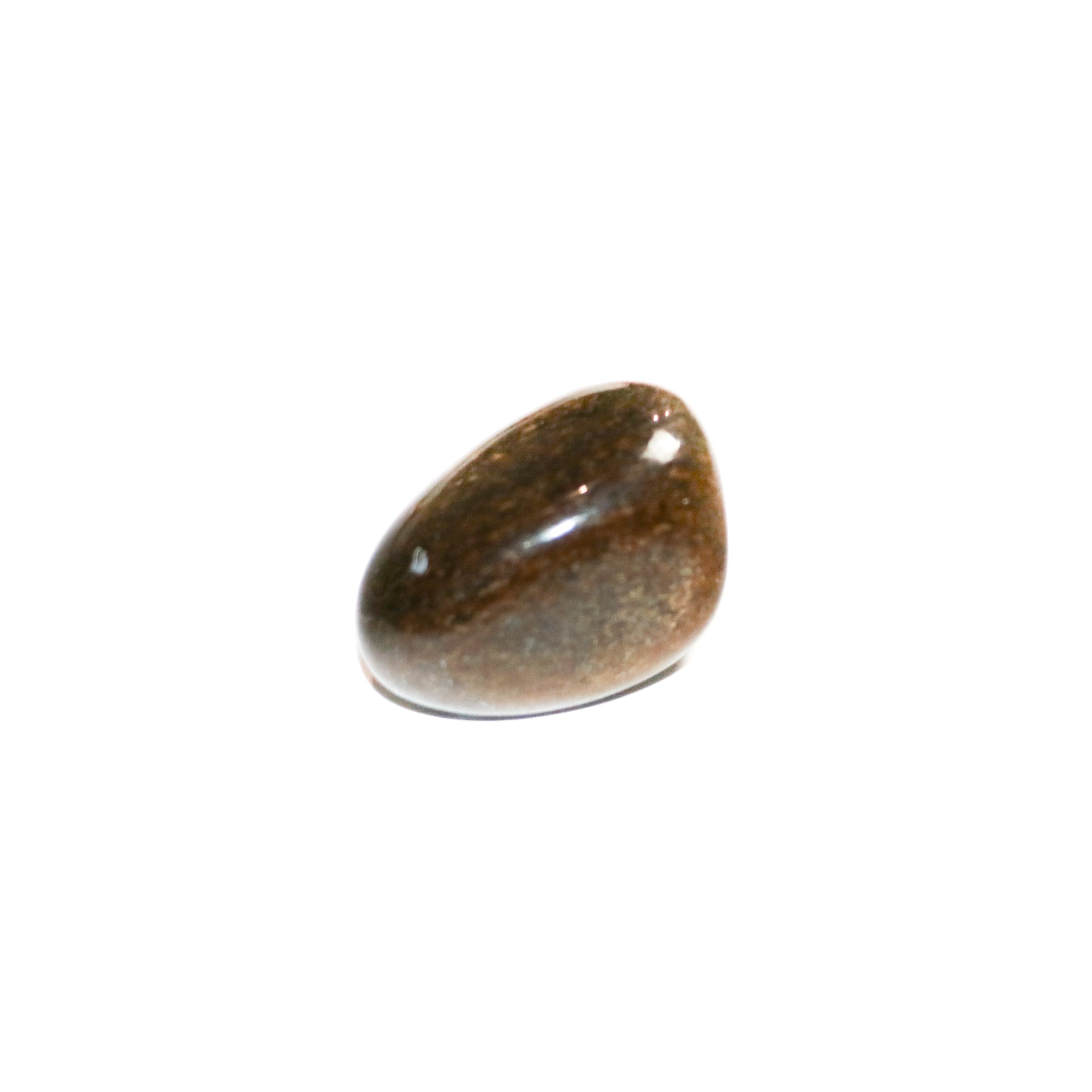 Bronzite