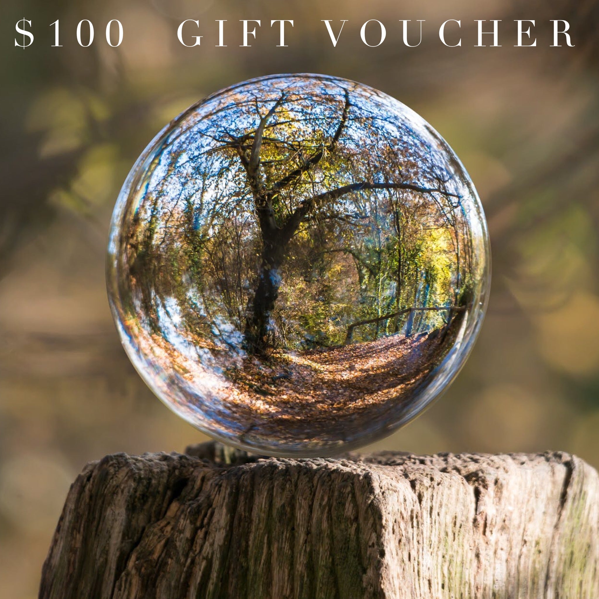 $100 Gift Voucher