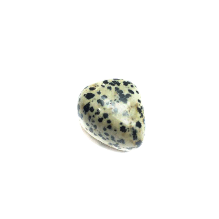 Dalmatian Jasper