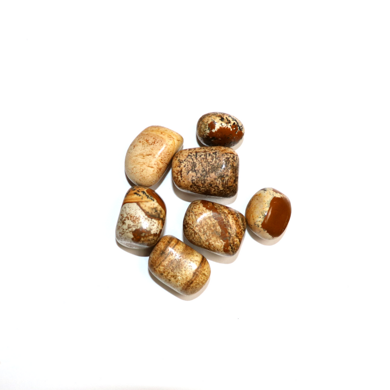 Picture Jasper